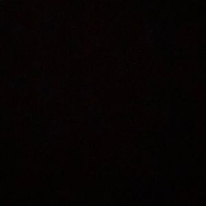 Meet your Posher, Bryce